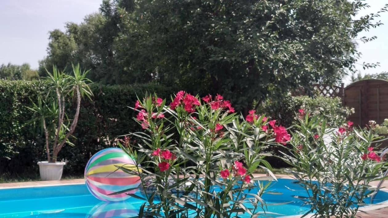 Leander Apartman Balatonlelle Εξωτερικό φωτογραφία