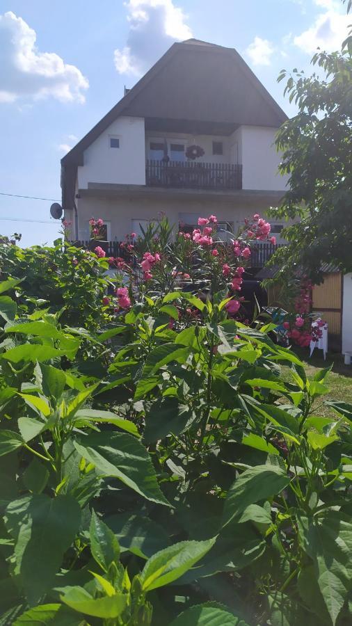 Leander Apartman Balatonlelle Εξωτερικό φωτογραφία