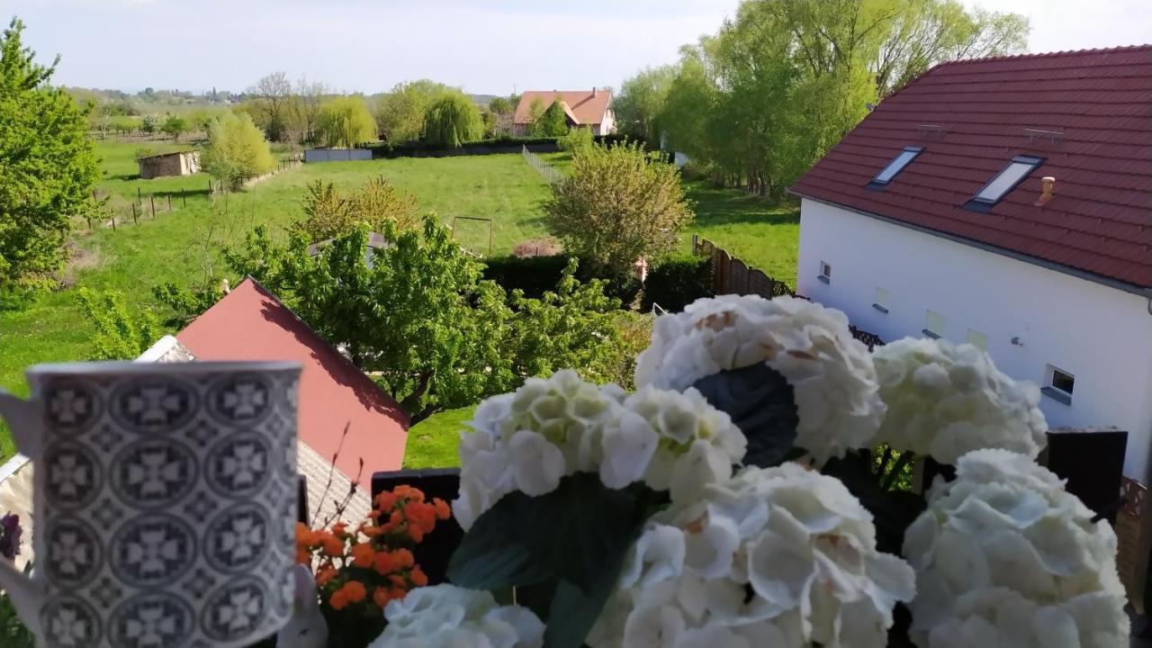 Leander Apartman Balatonlelle Εξωτερικό φωτογραφία